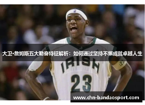 大卫·詹姆斯五大勤奋特征解析：如何通过坚持不懈成就卓越人生