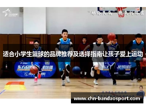 适合小学生篮球的品牌推荐及选择指南让孩子爱上运动