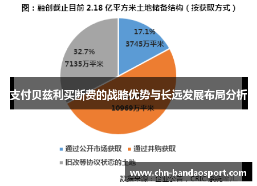 支付贝兹利买断费的战略优势与长远发展布局分析