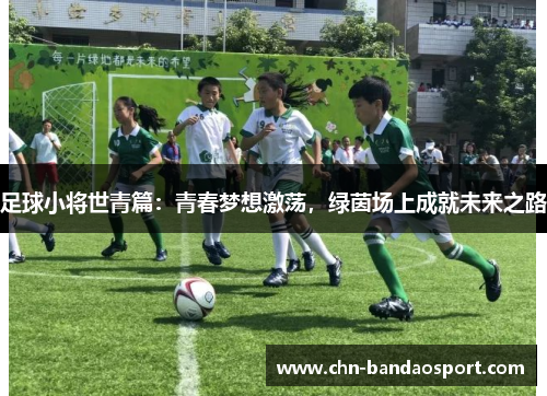 足球小将世青篇：青春梦想激荡，绿茵场上成就未来之路