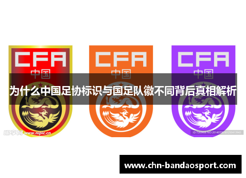 为什么中国足协标识与国足队徽不同背后真相解析