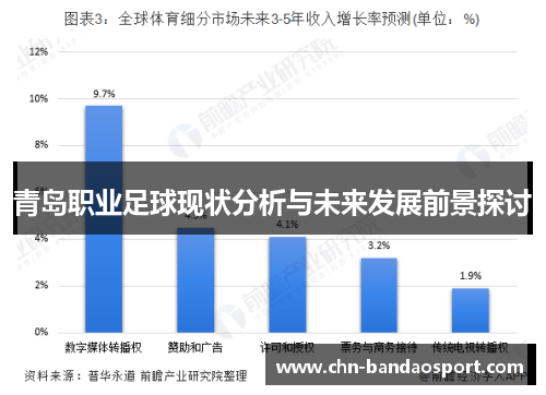 青岛职业足球现状分析与未来发展前景探讨