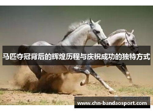 马匹夺冠背后的辉煌历程与庆祝成功的独特方式