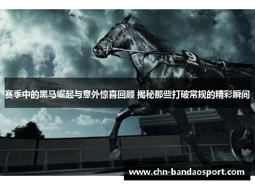 赛季中的黑马崛起与意外惊喜回顾 揭秘那些打破常规的精彩瞬间