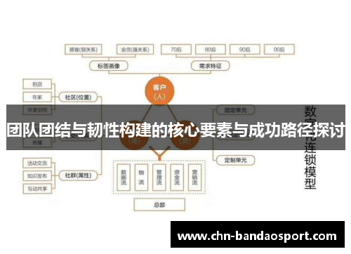 团队团结与韧性构建的核心要素与成功路径探讨