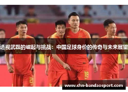 透视武磊的崛起与挑战：中国足球身价的传奇与未来展望