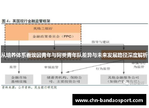 从培养体系看埃因青年与阿贾青年队差异与未来发展路径深度解析 从培养体系看埃因青年与阿贾青年队差异与未来发展路径深度解析